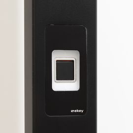 Exklusiv-Ausstattung